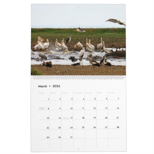 アフリカ カレンダー (3月 2026)