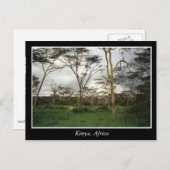 アフリカ・ケニアの野生の土地 ポストカード (正面/裏面)