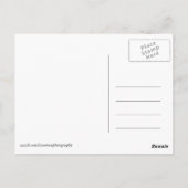 アフリカ・ケニアの野生の土地 ポストカード (裏面)