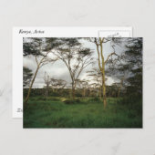 アフリカ・ケニアの野生の土地 ポストカード (正面/裏面)