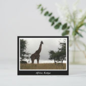 アフリカ・ケニア野生動物 ポストカード (スタンド正面)