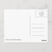 アフリカ・ケニア野生動物 ポストカード (裏面)