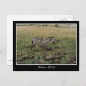アフリカ・ケニア野生動物 ポストカード (正面/裏面)