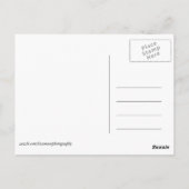 アフリカ・ケニア野生動物 ポストカード (裏面)