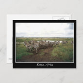 アフリカ・ケニア野生動物 ポストカード (正面/裏面)