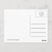 アフリカ・ケニア野生動物 ポストカード (裏面)