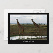 アフリカ・ケニア野生動物 ポストカード (正面/裏面)
