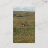 アフリカ・ケニア野生動物 名刺 (裏面)