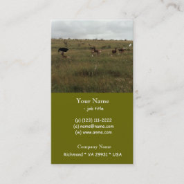 アフリカ・ケニア野生動物 名刺