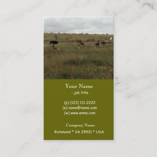 アフリカ・ケニア野生動物 名刺 (正面)