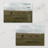 アフリカ・ケニア野生動物 名刺 (正面/裏面)