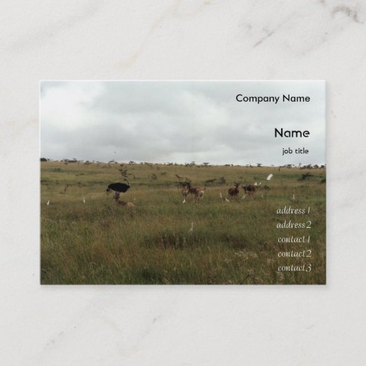 アフリカ・ケニア野生動物 名刺 (正面)