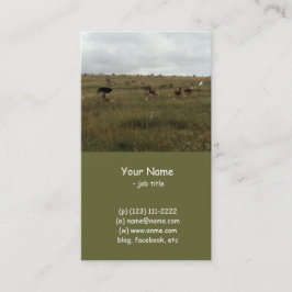 アフリカ・ケニア野生動物 名刺