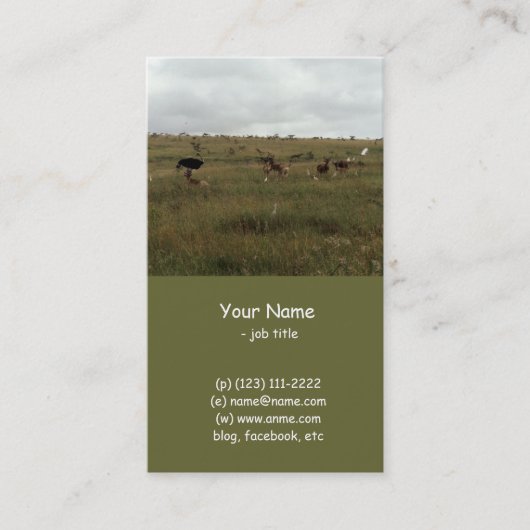 アフリカ・ケニア野生動物 名刺 (正面)