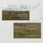 アフリカ・ケニア野生動物 名刺 (正面/裏面)