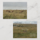 アフリカ・ケニア野生動物 名刺 (正面/裏面)