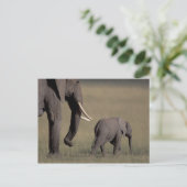 アフリカ、ケニア、アンボセリ国立公園。アフリカの ポストカード (スタンド正面)