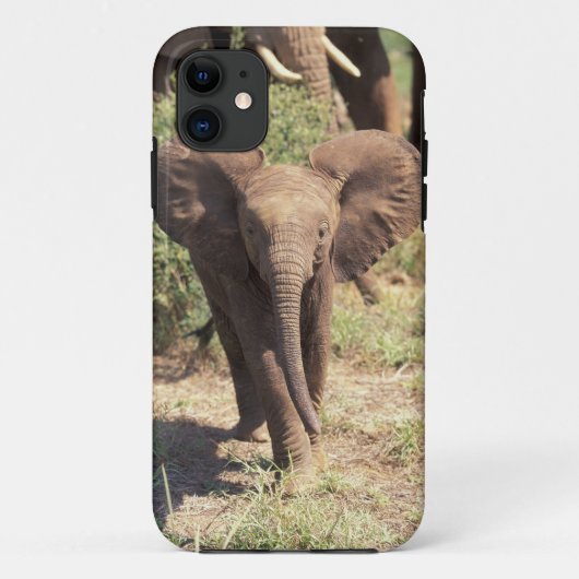 アフリカ ケニア アンボセリ国立公園 アフリカゾウ 2 Case-Mate iPhoneケース (裏面)