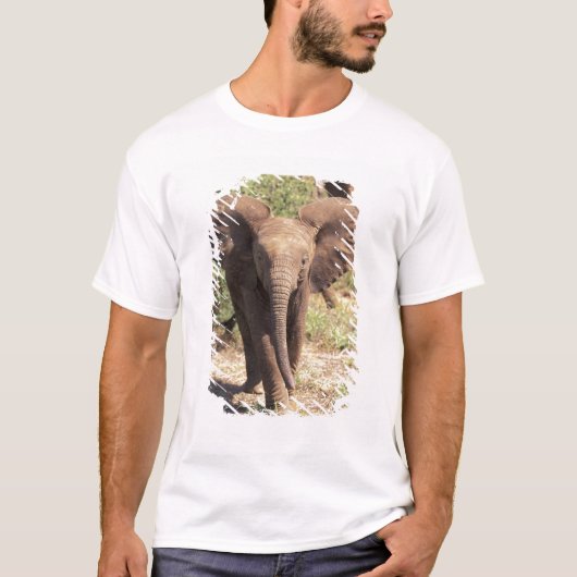アフリカ ケニア アンボセリ国立公園 アフリカゾウ 2 Tシャツ (正面)