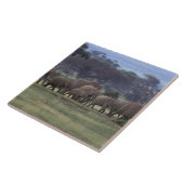 アフリカ ケニア アンボセリ国立公園 アフリカゾウ 3 タイル (側面)