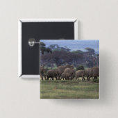 アフリカ、ケニア、アンボセリ国立公園。アフリカ3 缶バッジ (正面&裏面)