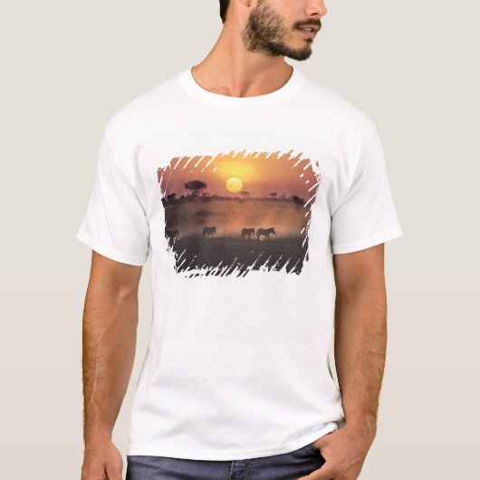 アフリカ ケニア アンボセリ国立公園 シマウマが Tシャツ (正面)