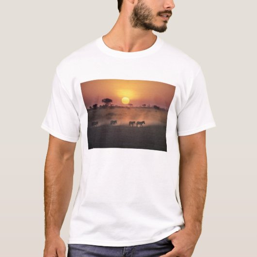 アフリカ ケニア アンボセリ国立公園 シマウマが Tシャツ (正面)