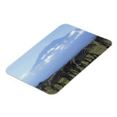 アフリカ、ケニア、アンボセリ国立公園、ヘルド マグネット (左側)