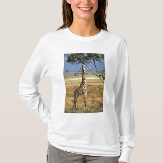 アフリカ ケニア アンボセリ国立公園 ミシオカメネコ Tシャツ (正面)