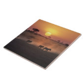 アフリカ、ケニア、アンボセリNP。Zebraの歩いて行く タイル (側面)