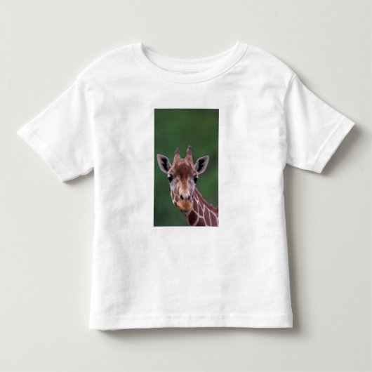 アフリカ、ケニア、インパラ牧場。網状の トドラーTシャツ (正面)