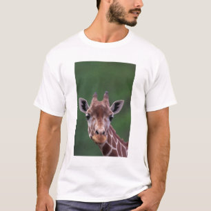 アフリカ ケニア インパラ牧場 網状 Tシャツ