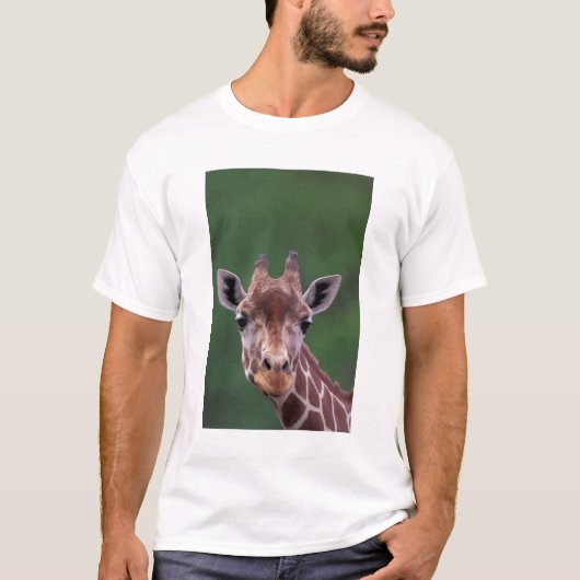 アフリカ ケニア インパラ牧場 網状 Tシャツ (正面)