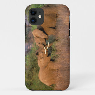 アフリカ ケニア サンブル エレファント チャレンジ iPhone 11 ケース