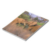 アフリカ、ケニア、サンブル。ゾウの挑戦 ノートパッド (回転)