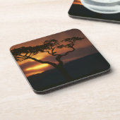 アフリカ、ケニア、マサイマラゲームリザーブ、セッティング コースター (左側)