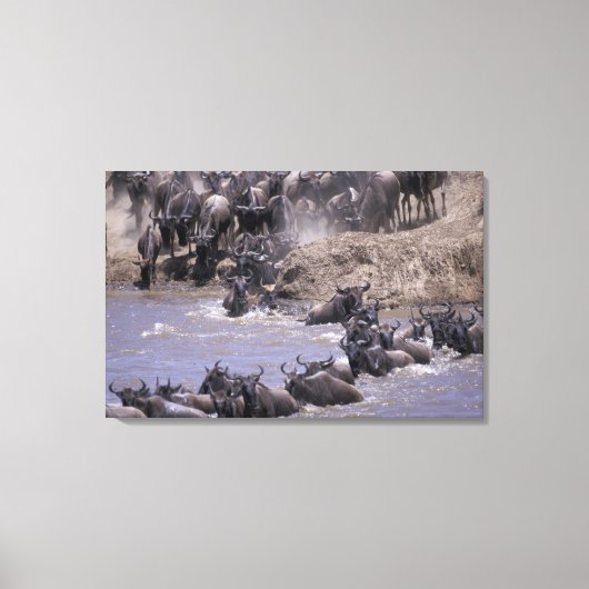 アフリカ、ケニア、マサイマラ国立公園。 キャンバスプリント (正面)