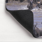 アフリカ、ケニア、マサイマラ国立公園。 マウスパッド (コーナー)