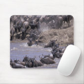 アフリカ、ケニア、マサイマラ国立公園。 マウスパッド (マウス)