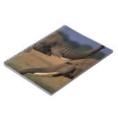 アフリカ,ケニア,マサイマラ試合予約,ツーブル ノートブック (左側)