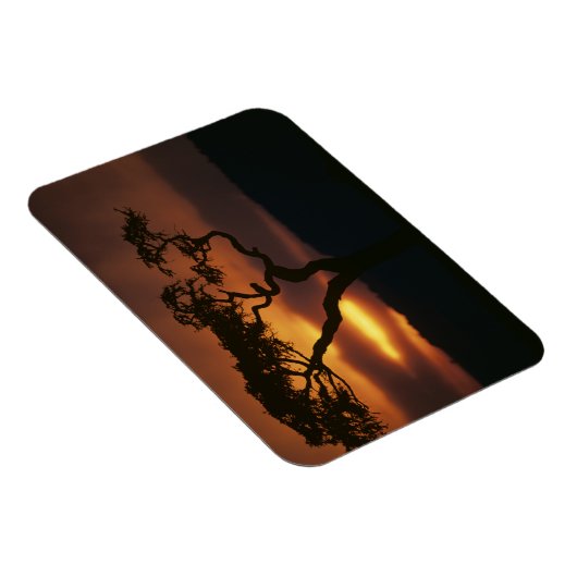 アフリカ,ケニア,マサイマラ試合予約,設定 マグネット (右側)