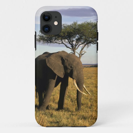 アフリカ ケニア マサイマラ アフリカゾウが Case-Mate iPhoneケース (裏面)