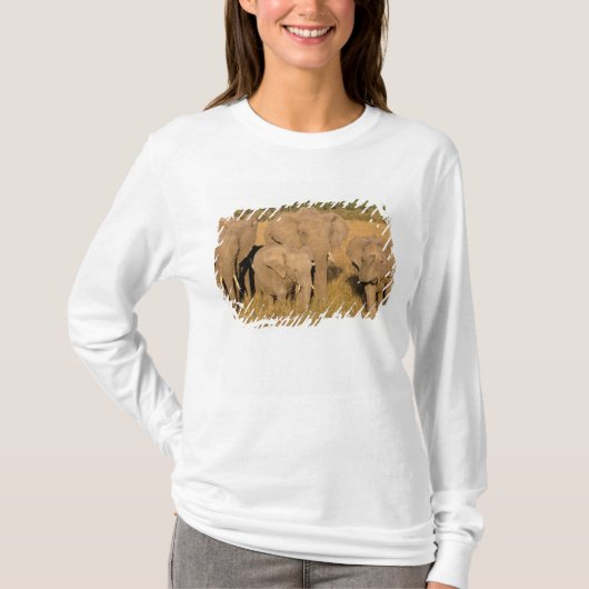 アフリカ ケニア マサイマラ アフリカゾウ Tシャツ (正面)