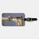 アフリカ、ケニア、マサイマラ。キラフェス ラゲッジタグ (正面横)