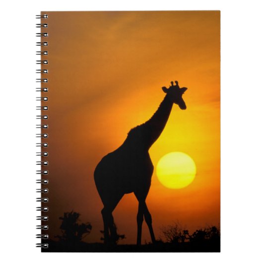 アフリカ、ケニア、マサイマラ。キリン ノートブック (正面)