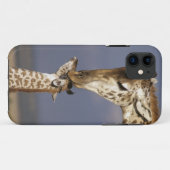 アフリカ ケニア マサイマラ キリン Case-Mate iPhoneケース (裏面(横))