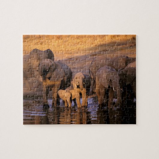 アフリカ ケニア マサイマラ ゾウ (Loxodonta ジグソーパズル (横)