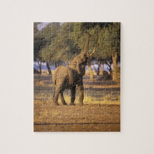 アフリカ ケニア マサイマラ ゾウ (Loxodonta ジグソーパズル (縦)