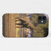 アフリカ ケニア マサイマラ ゾウ (Loxodonta Case-Mate iPhoneケース (裏面(横))