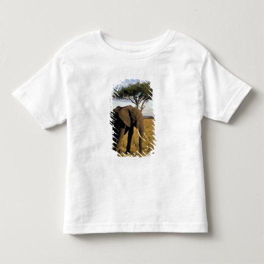 アフリカ ケニア マサイマラ トドラーTシャツ (正面)